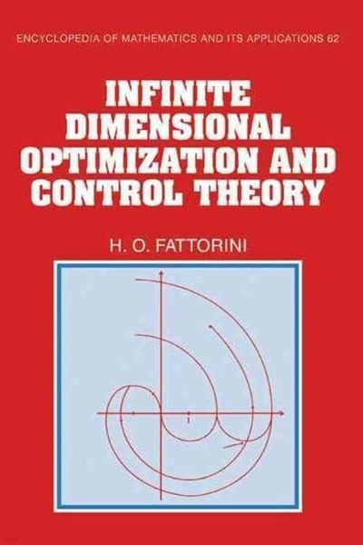 Infinite Dimensional Optimization and Control Theory (Hardcover)