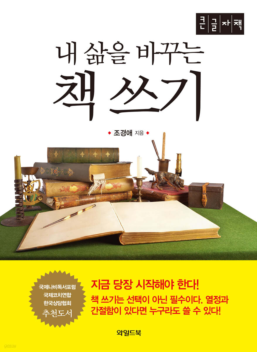 내 삶을 바꾸는 책 쓰기 [큰글자책]