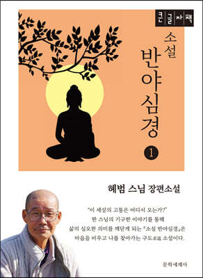 소설 반야심경 1 (큰글자책)