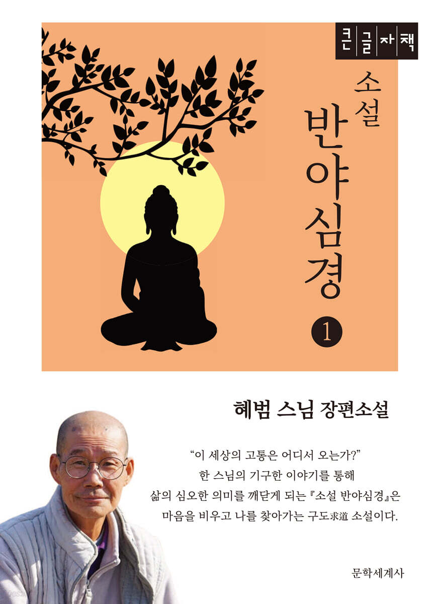 소설 반야심경 1 (큰글자책)