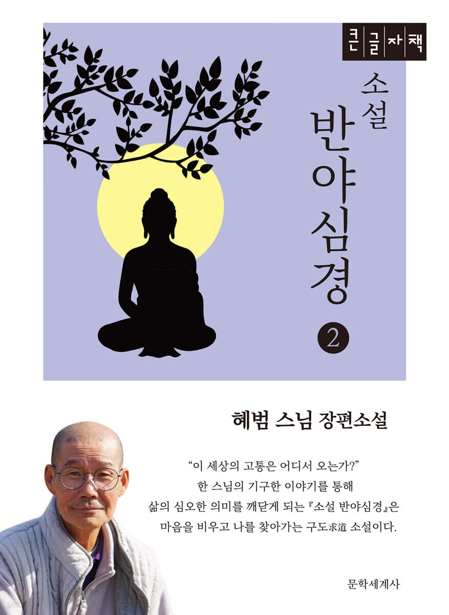 소설 반야심경 2 (큰글자책)