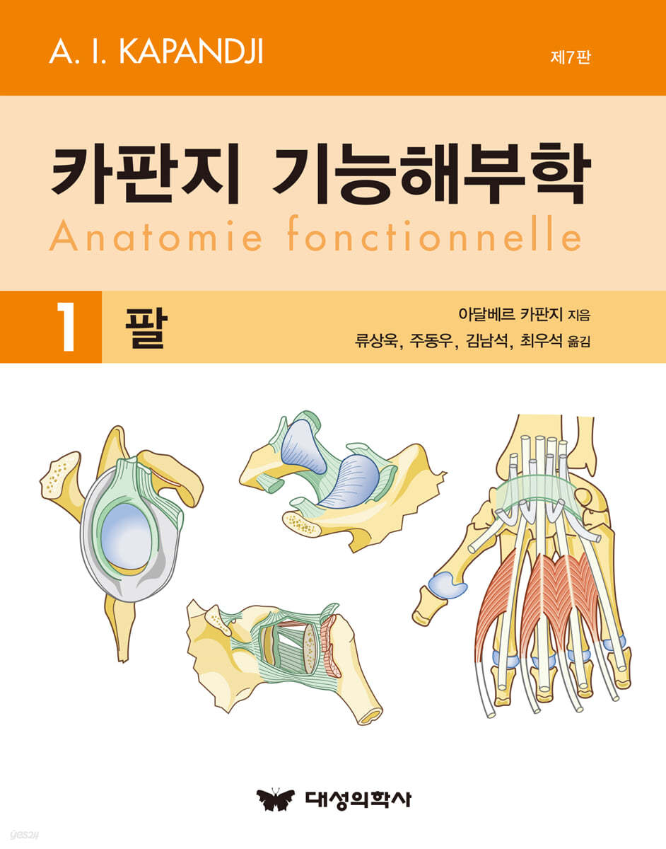 카판지 기능해부학 1 팔