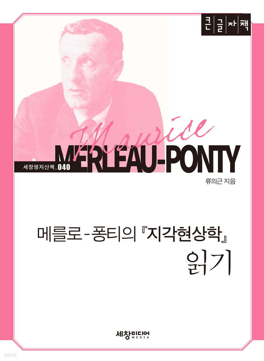 메를로-퐁티의 『지각현상학』 읽기 (큰글자책)