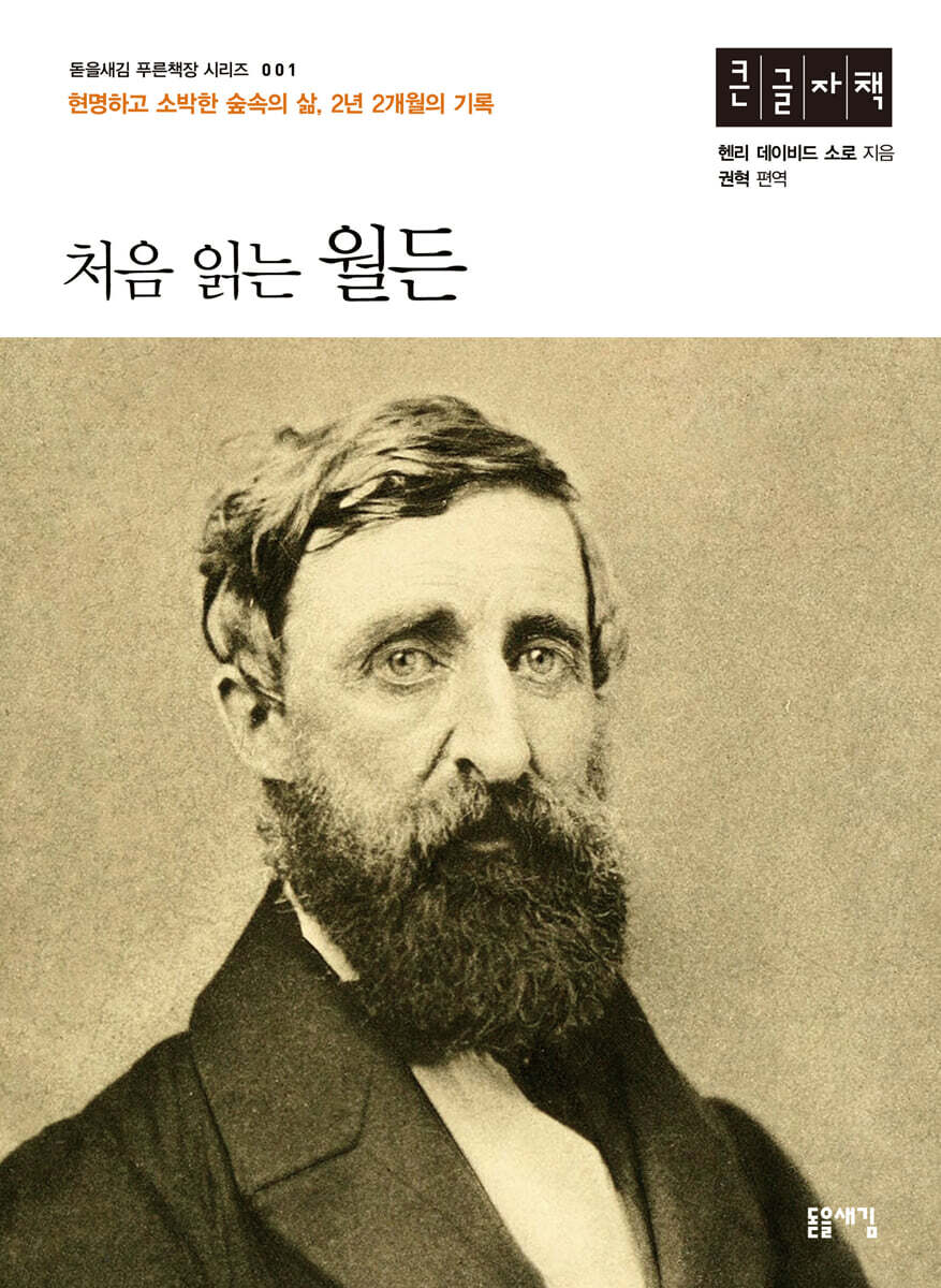 처음 읽는 월든 (큰글자책)