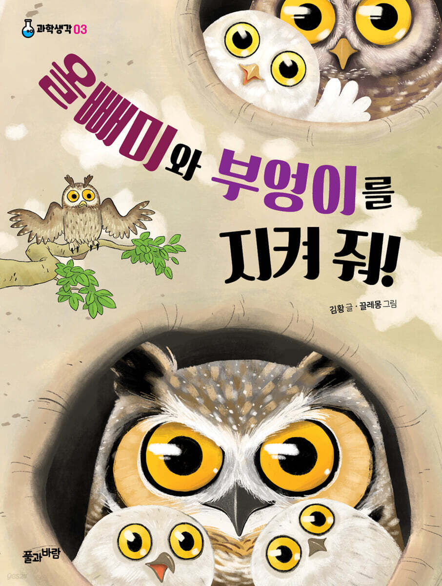 올빼미와 부엉이를 지켜 줘!