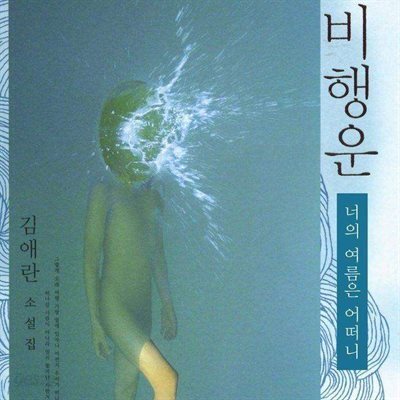비행운 - 너의 여름은 어떠니