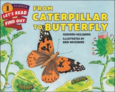 [߰]  еȭ 1 : From Caterpillar to Butterfly