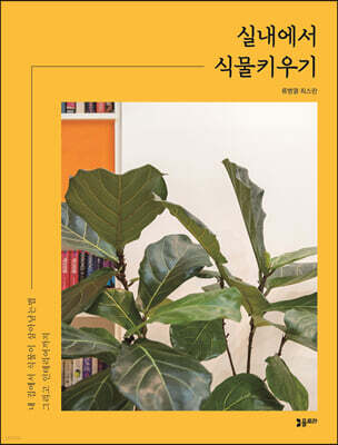 실내에서 식물키우기