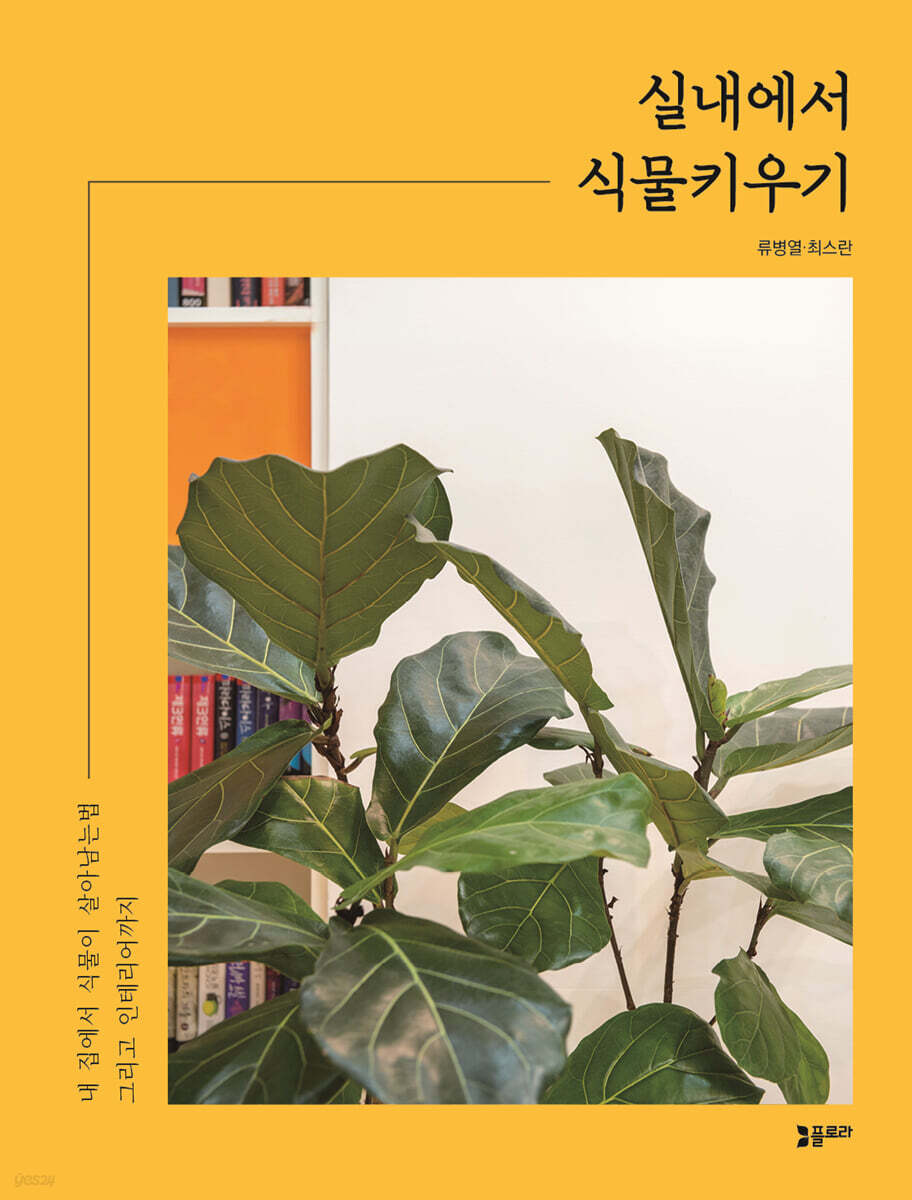 실내에서 식물키우기