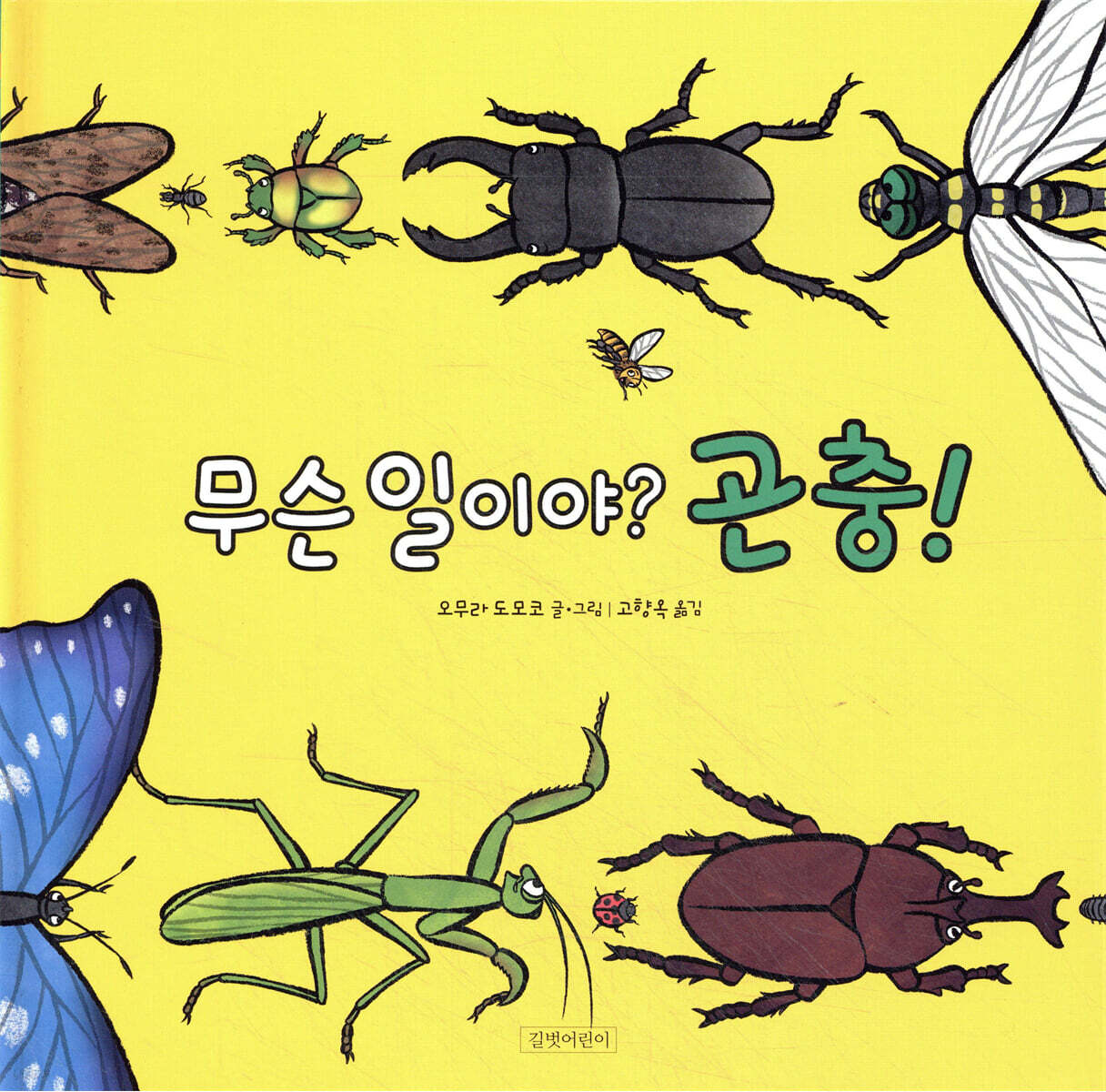 무슨 일이야? 곤충!