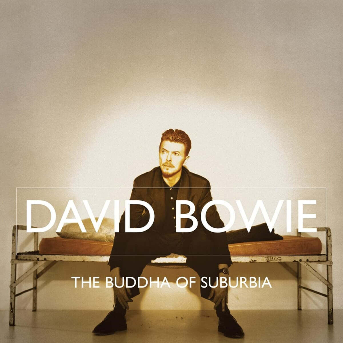 David Bowie (데이비드 보위) - The Buddha of Suburbia [2LP]