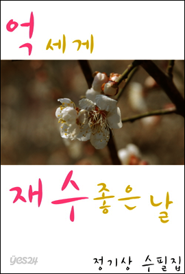 억세게 재수 좋은 날
