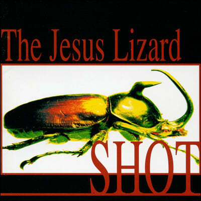 The Jesus Lizard ( ڵ) - Shot [̾  &  ٹ ÷ LP] 