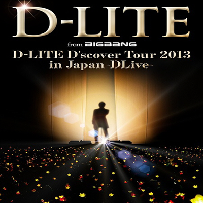 뼺 (D-Lite) - D-Lite D'scover Tour 2013 In Japan ~DLive~ (ڵ2)(2DVD+2CD) (ȸ)