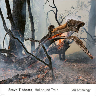 Steve Tibbetts (Ƽ Ƽ) - Hellbound Train : An Anthology