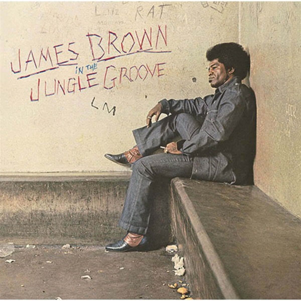 James Brown (제임스 브라운) - In The Jungle Groove