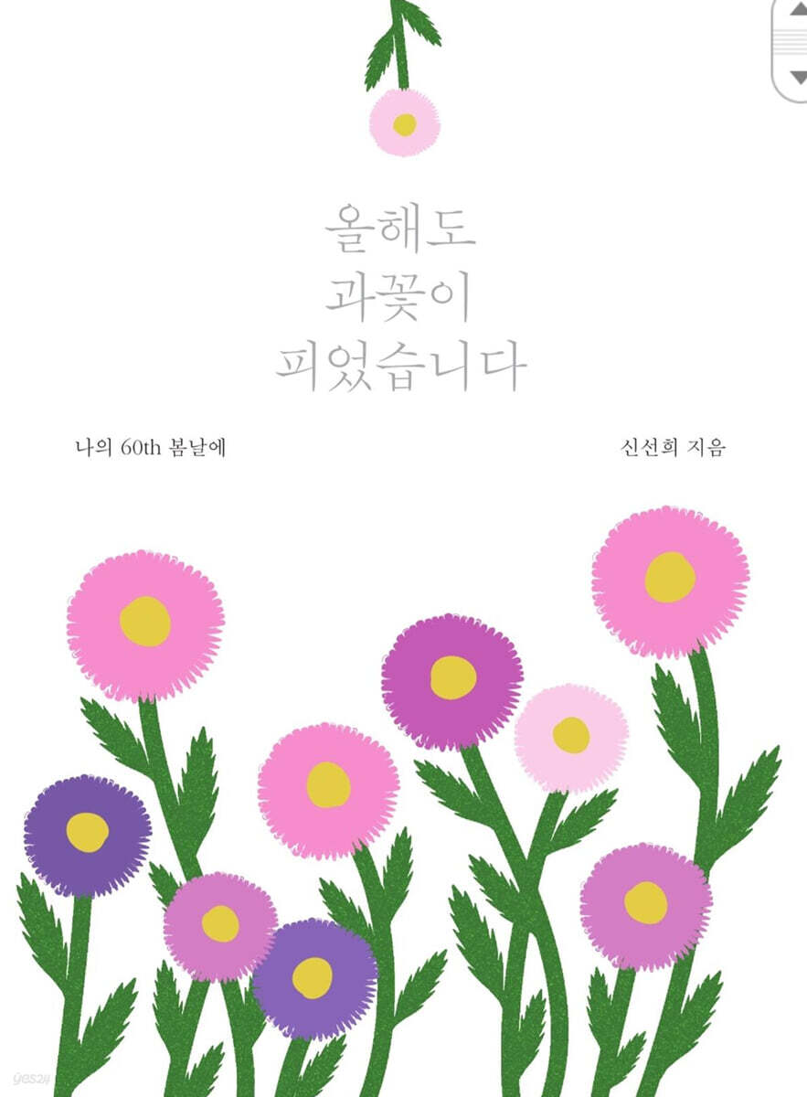 올해도 과꽃이 피었습니다