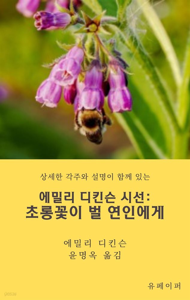 에밀리 디킨슨 시선