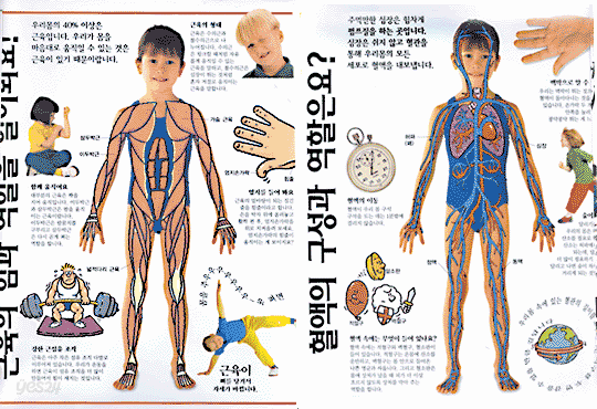 인체학습 우리몸