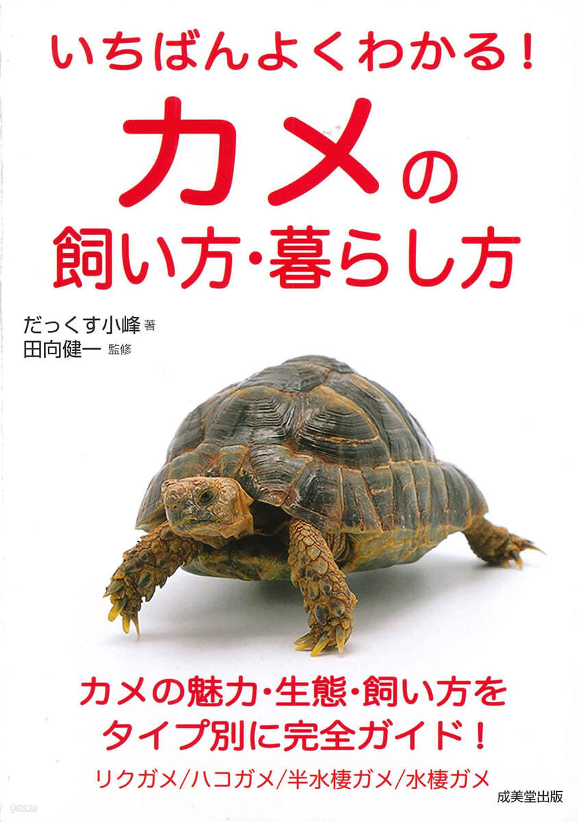 いちばんよくわかる!カメの飼い方.暮らし方