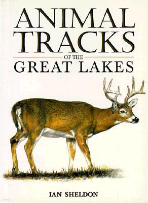 Animal Tracks of the Great Lakes