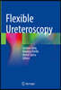 The Flexible Ureteroscopy