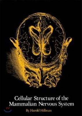 The Cellular Structure of the Mammalian Nervous System: A Re-Examination, and Some Consequences for Neurobiology