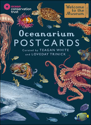 Welcome To The Museum : Oceanarium Postcards