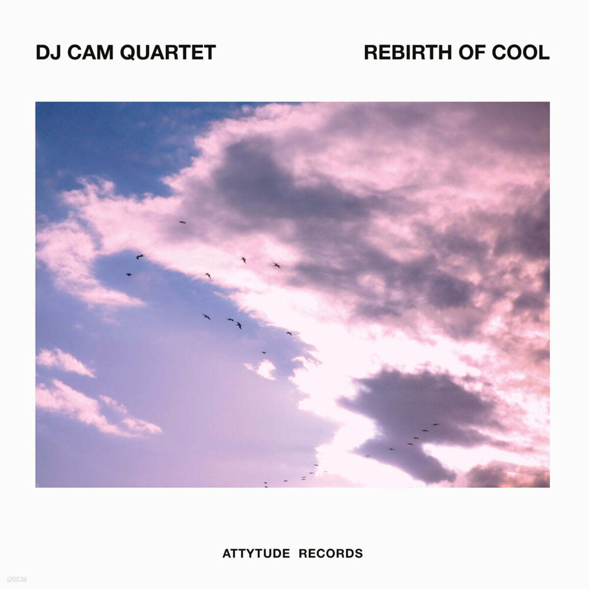 Dj Cam Quartet (디제이 캠 쿼텟) - Rebirth of Cool [퍼플 컬러 LP]