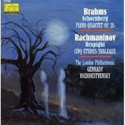 Gennady Rozhdestvensky / Brahms (Orch. Schoenberg) : Piano Quartet~ (수입/11752)