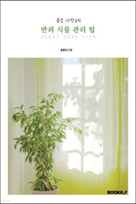 꽃집 사장님의 반려 식물 관리 팁