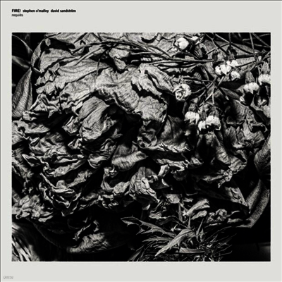 Fire!,Stephen O'Malley,David Sandstrom — Requires (Limited Numbered Edition) 앨범 커버