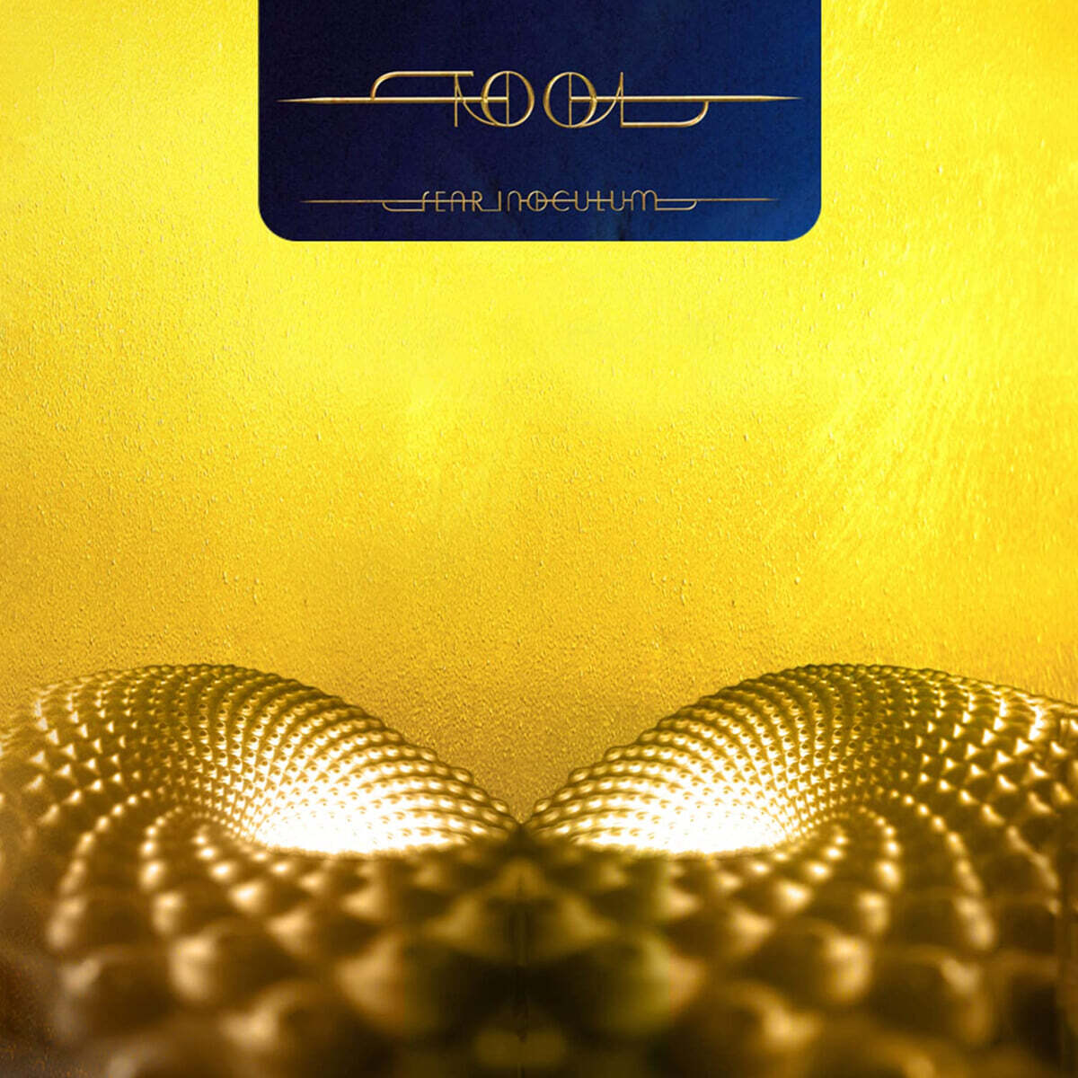 TOOL (툴) - Fear Inoculum [3LP]