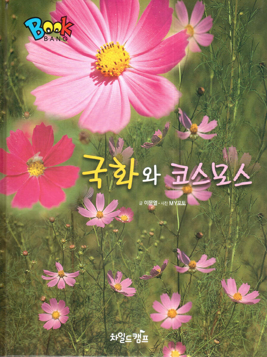 BOOK BANG 국화와 코스모스