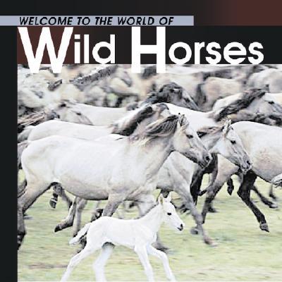 Welcome to the World of Wild Horses