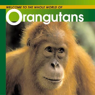 Welcome to the World of Orangutans