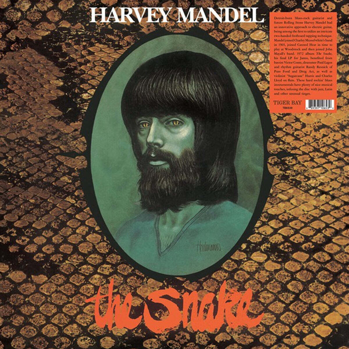 Harvey Mandel (하비 만델) - The Snake [LP]