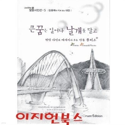 큰 꿈은 일어나 날개를 달고 (오름 시인선 5) : 김용재