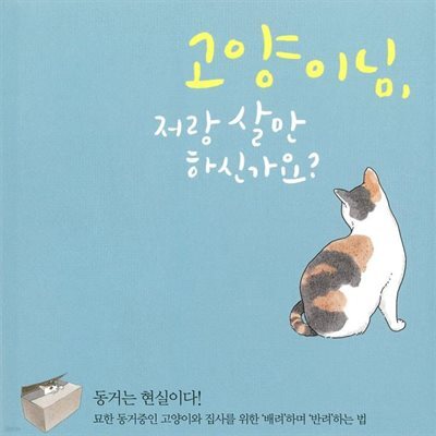 고양이님, 저랑 살 만하신가요?