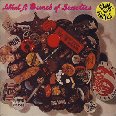 Pink Fairies (핑크 페어리스) - What A Bunch Of Sweeties