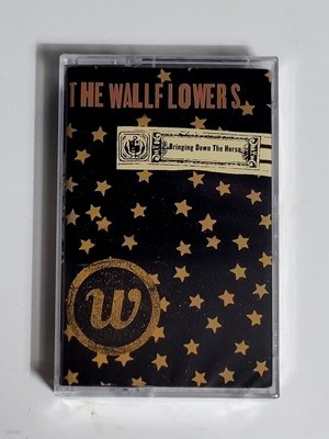 (미개봉 카세트테이프) The Wallflowers - Bringing Down The Horse