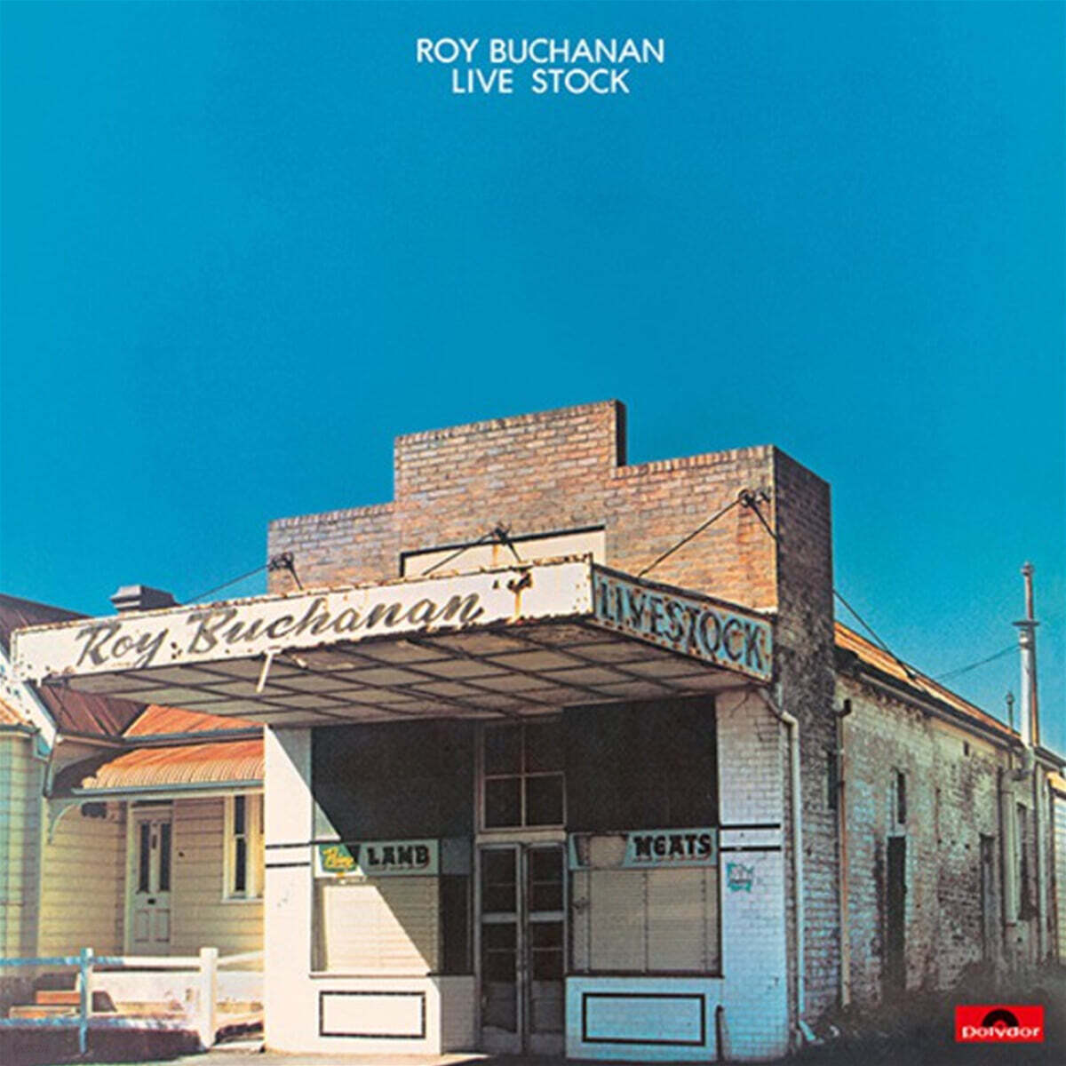 Roy Buchanan (로이 부캐넌) - Live Stock