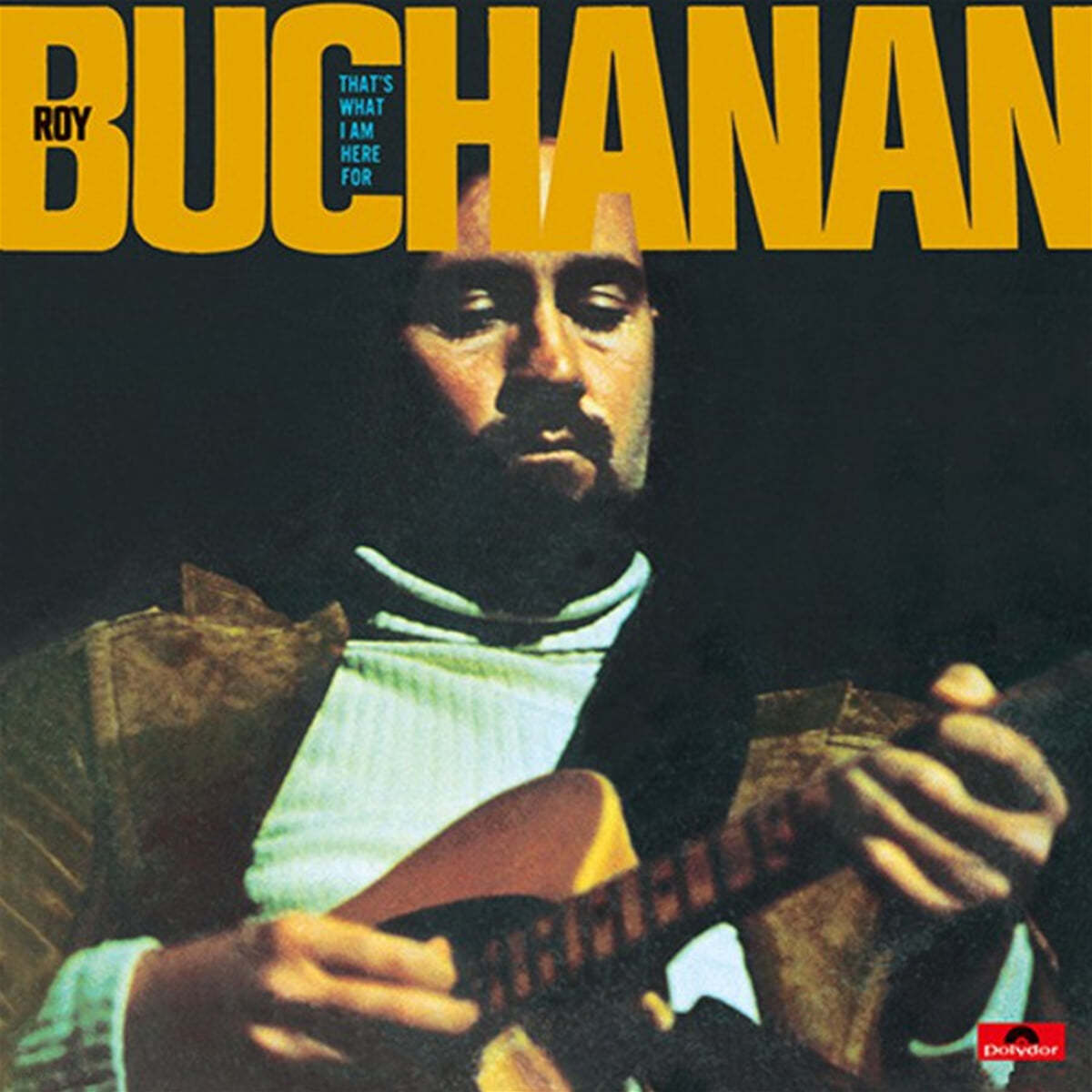 Roy Buchanan (로이 부캐넌) - That&#39;s What I&#39;m Here For