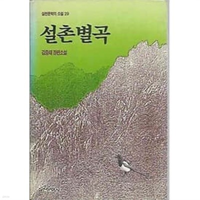 실천문학의 소설 29 - 설촌별곡