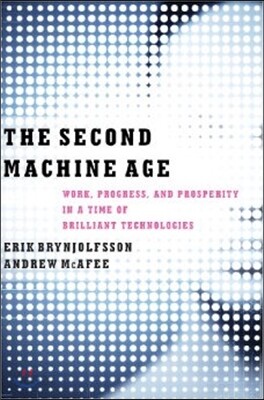The Second Machine Age: Work, Progress, and Prosperity in a Time of Brilliant Technologies