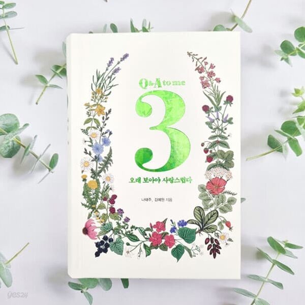 나태주 3Q&A 오래 보아야 사랑스럽다