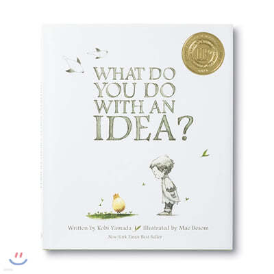 What Do You Do with an Idea
