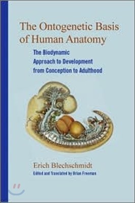 The Ontogenetic Basis of Human Anatomy: A Biodynamic Approach to Development from Conception to Birth