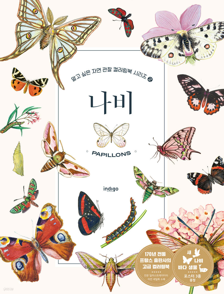 나비