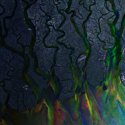 alt-J - An Awesome Wave (White Vinyl LP)